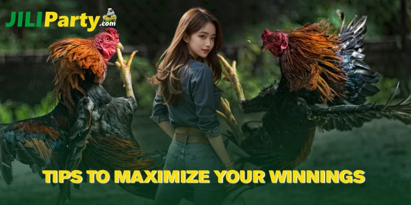Tips to Maximize Your Winnings
