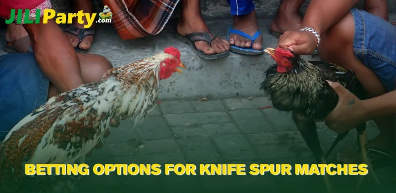Betting Options for Knife Spur Matches