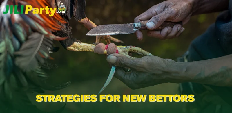 Strategies for New Bettors