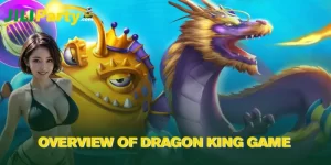 Overview of Dragon King Game